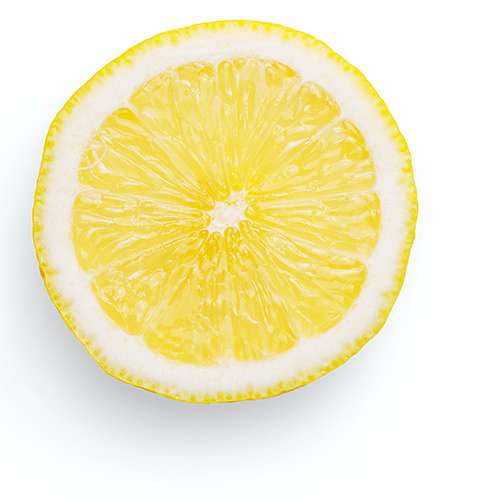 lemon slice convincer